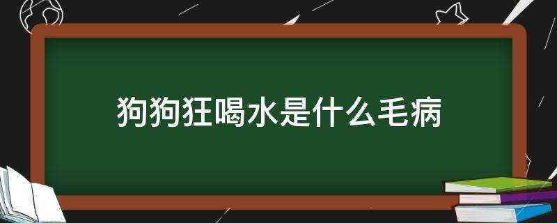 狗狗狂喝水是什么毛病（狗狗得了狂犬病是狂喝水还是不喝水）