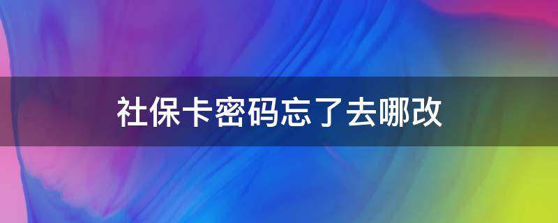 社保卡密码忘了去哪改（社保卡密码忘记在哪里改）