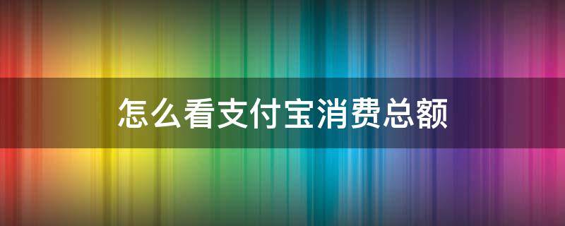 怎么看支付宝消费总额（怎么看支付宝消费总金额）