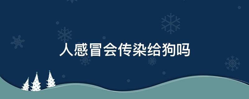 人感冒会传染给狗吗（狗的感冒会传染给人吗）