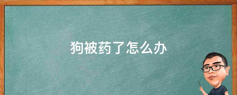 狗被药了怎么办 狗被打药了怎么办