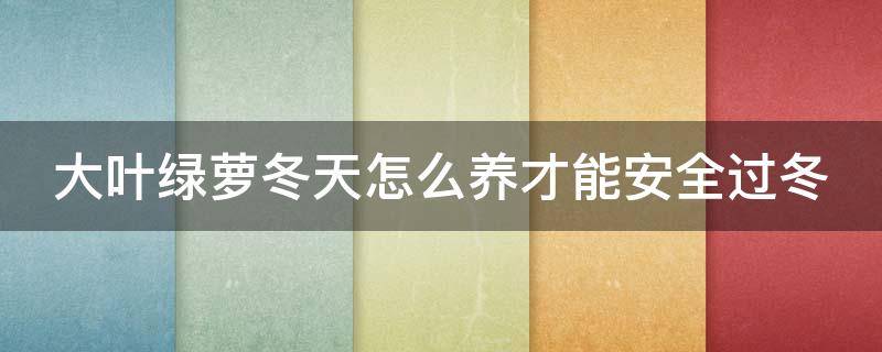 大叶绿萝冬天怎么养才能安全过冬 大叶绿箩怎么过冬