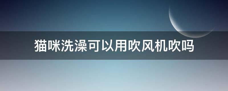 猫咪洗澡可以用吹风机吹吗 猫咪洗完澡能不能用吹风机吹