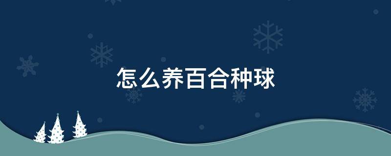 怎么养百合种球 百合种球怎么养殖