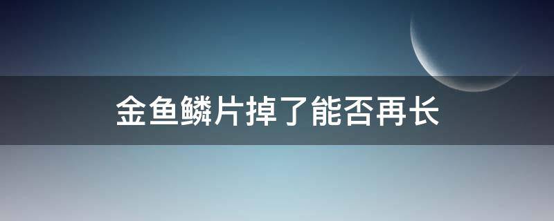 金鱼鳞片掉了能否再长 金鱼鳞片掉了还能长吗