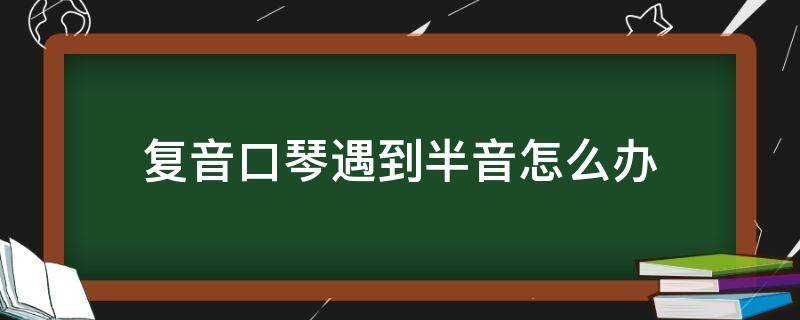 复音口琴遇到半音怎么办 复音口琴好难