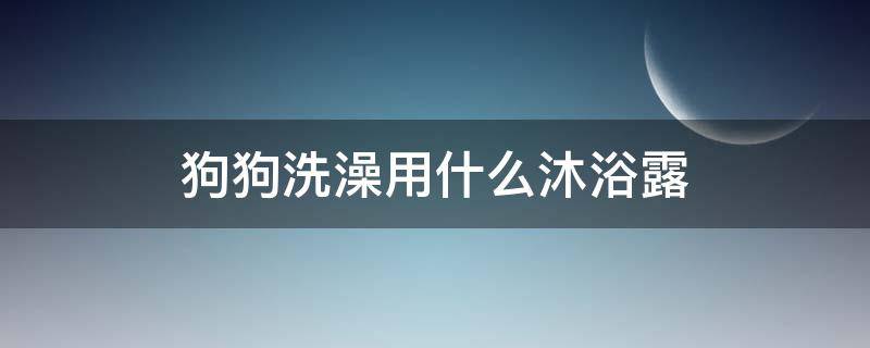 狗狗洗澡用什么沐浴露（狗狗洗澡用什么沐浴露特别香）