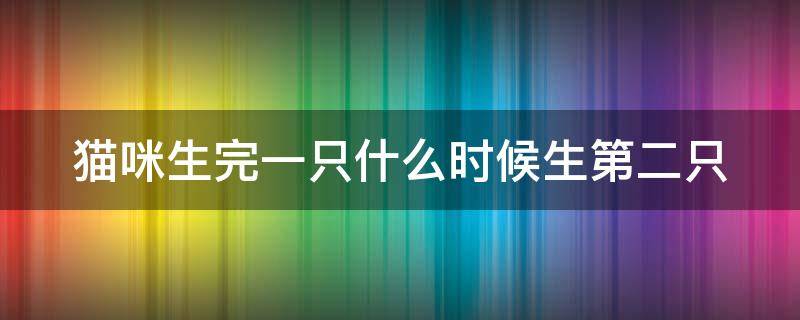 猫咪生完一只什么时候生第二只 猫咪生完一只什么时候生第二只幼猫