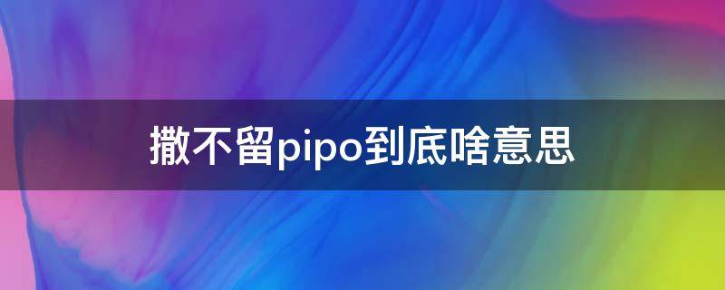 撒不留pipo到底啥意思（撒不溜pipo啥意）