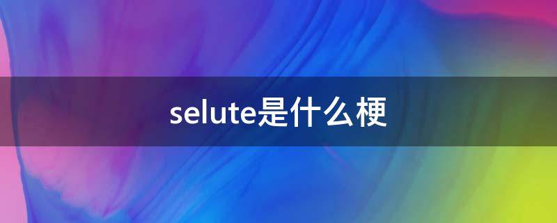 selute是什么梗（salute是什么梗）