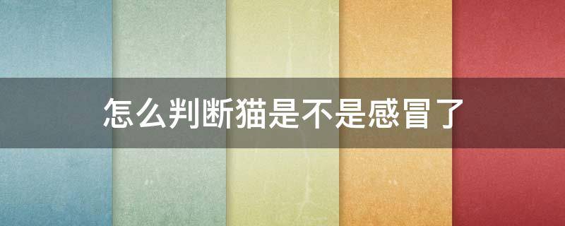 怎么判断猫是不是感冒了 怎么判断猫咪是不是感冒了?