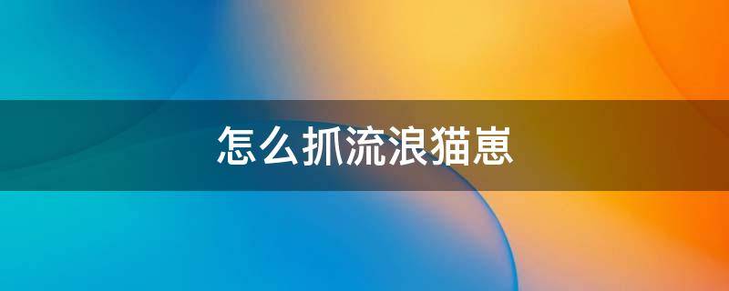 怎么抓流浪猫崽 怎么抓流浪猫崽不会被咬