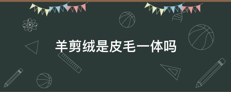 羊剪绒是皮毛一体吗 羊剪绒是皮毛一体么