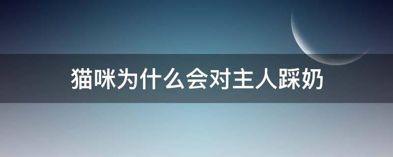 猫咪为什么会对主人踩奶（猫咪踩奶是喜欢主人吗）