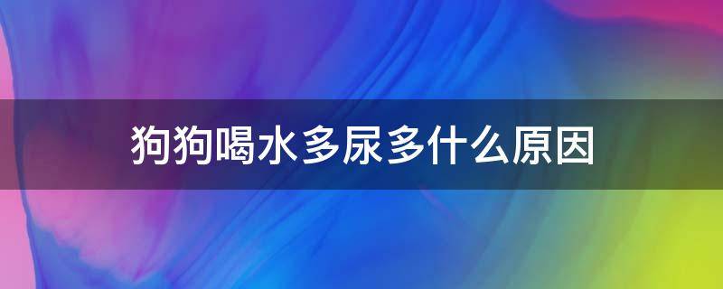 狗狗喝水多尿多什么原因（狗最近喝水多尿多什么原因）