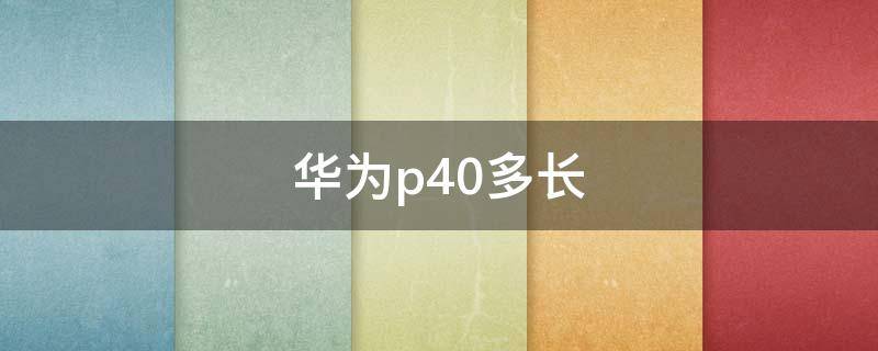 华为p40多长（华为p40多少钱）