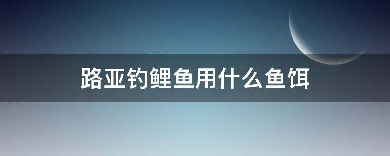 路亚钓鲤鱼用什么鱼饵（路亚鲤鱼用什么饵?）