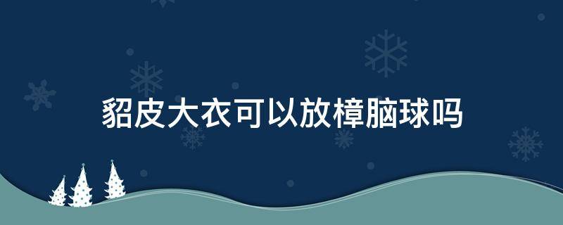 貂皮大衣可以放樟脑球吗（貂皮大衣能放樟脑球吗）