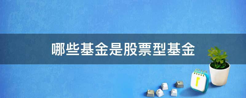 哪些基金是股票型基金 基金型基金和股票型基金