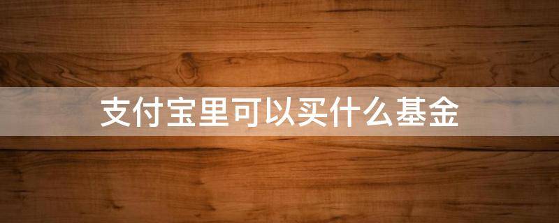 支付宝里可以买什么基金 支付宝里面可以买基金