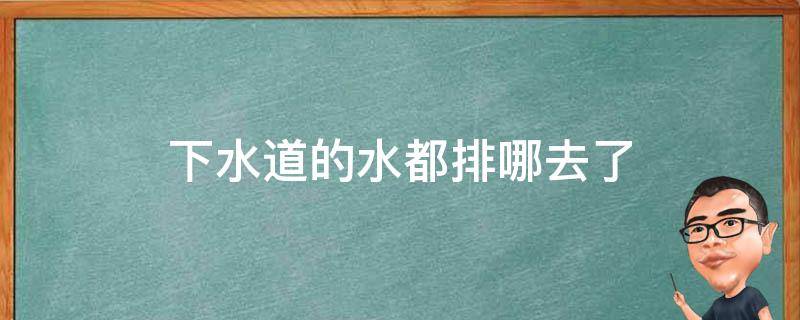 下水道的水都排哪去了（马路下水道的水都排哪去了）