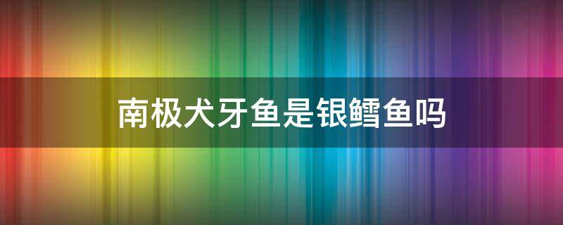 南极犬牙鱼是银鳕鱼吗 鳕鱼 南极犬牙鱼