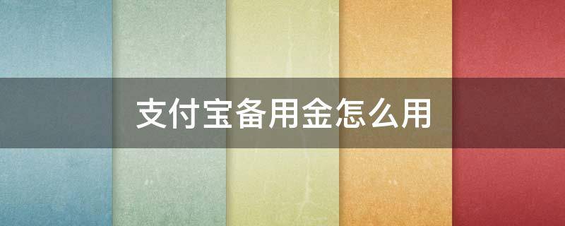 支付宝备用金怎么用（支付宝备用金怎么用2.29取出来）