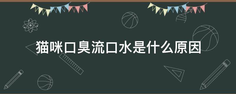 猫咪口臭流口水是什么原因 猫咪流口水口臭是怎么回事