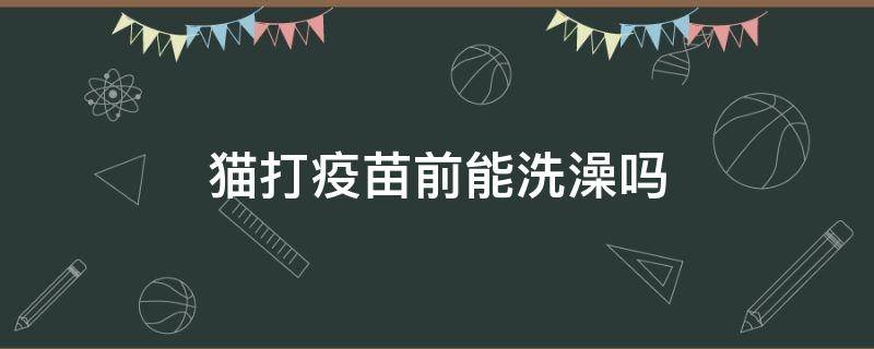 猫打疫苗前能洗澡吗（猫打疫苗前可以洗澡不）