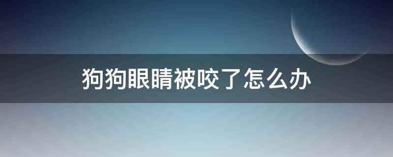 狗狗眼睛被咬了怎么办（狗狗被其他狗狗咬到眼睛）