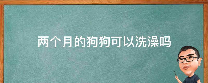 两个月的狗狗可以洗澡吗（不到两个月的狗狗可以洗澡吗）