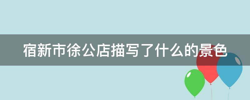 宿新市徐公店描写了什么的景色 宿新市徐公店描写的是什么景物