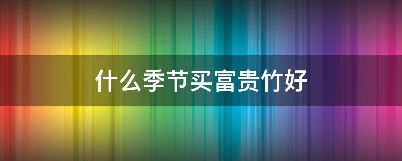 什么季节买富贵竹好 几月份买富贵竹好养活