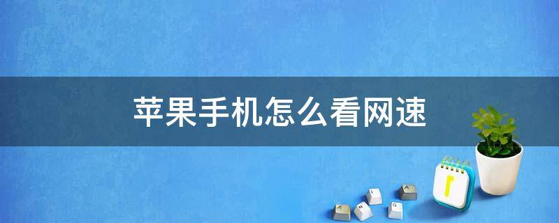 苹果手机怎么看网速 苹果手机怎么看网速多少