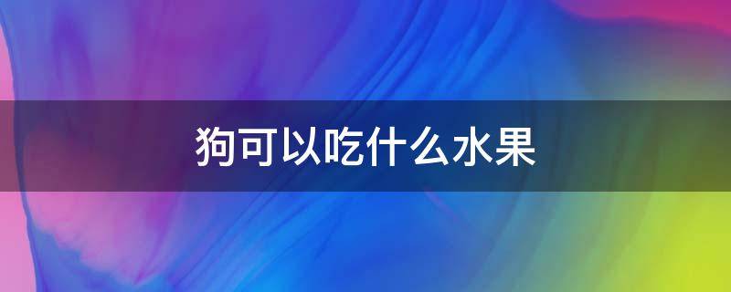 狗可以吃什么水果（宠物狗狗可以吃什么水果）