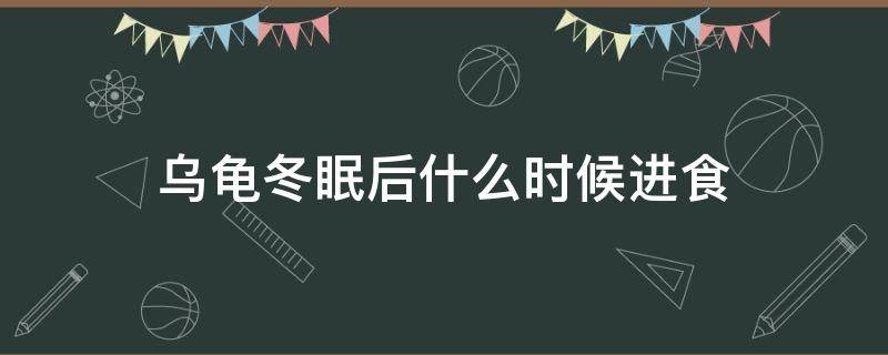 乌龟冬眠后什么时候进食（乌龟冬眠后什么时候进食比较好）