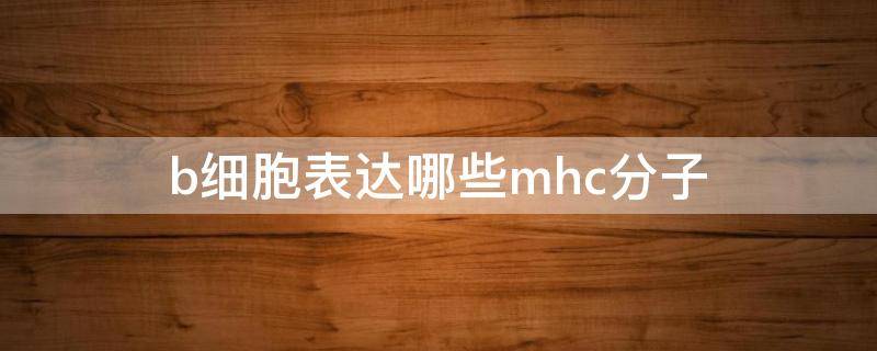 b细胞表达哪些mhc分子 什么细胞表达MHC2分子