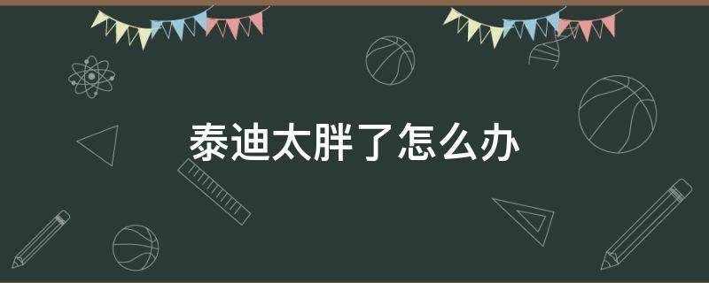 泰迪太胖了怎么办（泰迪狗狗太胖了怎么办）