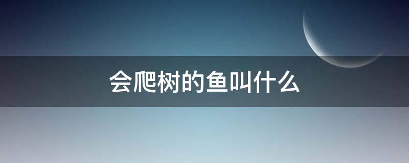 会爬树的鱼叫什么 会爬树的鱼叫什么名字爬树是为了干什么