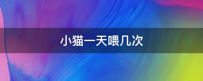 小猫一天喂几次 一个月小猫一天喂几次