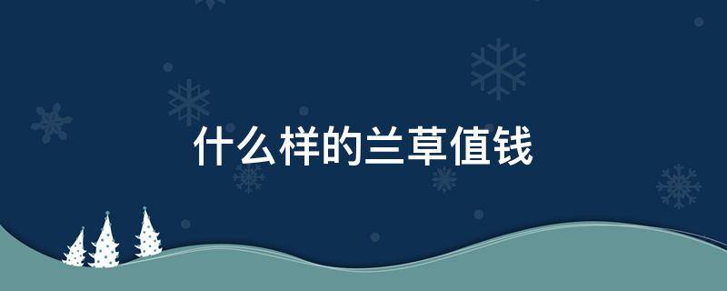 什么样的兰草值钱 真正的兰草值多少钱