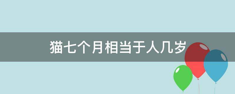 猫七个月相当于人几岁 猫咪七个月相当于人几岁