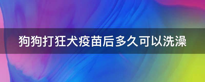 狗狗打狂犬疫苗后多久可以洗澡 狗狗打狂犬疫苗几天后可以洗澡