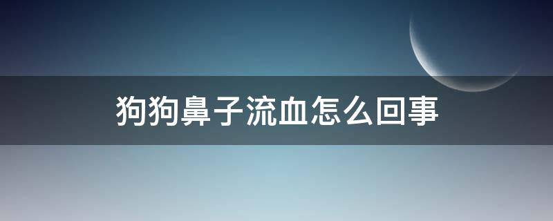 狗狗鼻子流血怎么回事 小狗鼻子流血怎么回事