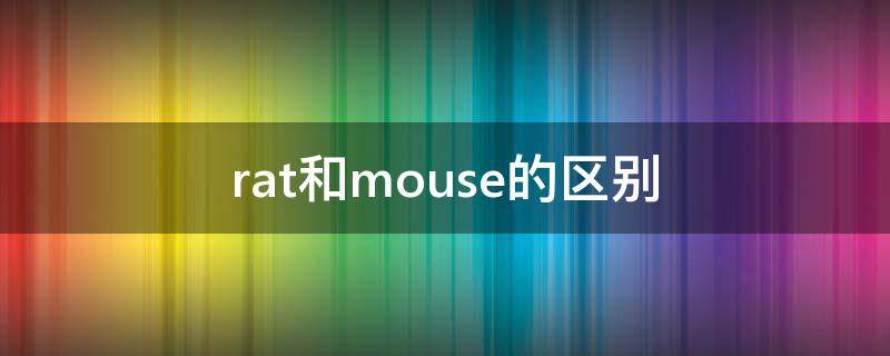 rat和mouse的区别 Rat和mouse的区别