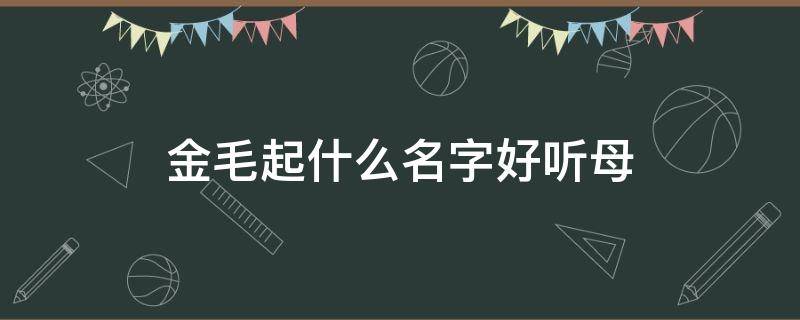 金毛起什么名字好听母 母金毛应该起什么名字