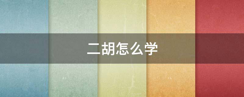 二胡怎么学 二胡入门