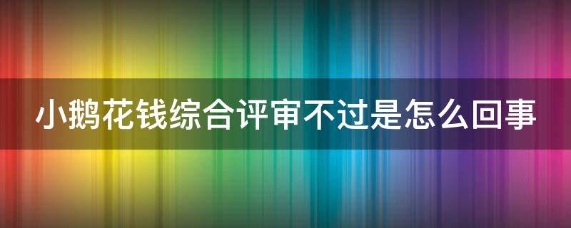 小鹅花钱综合评审不过是怎么回事 小鹅花钱说综合评估