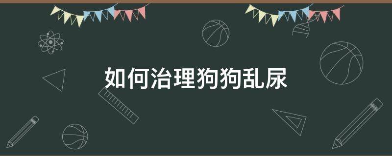 如何治理狗狗乱尿（怎么治狗乱拉乱尿）