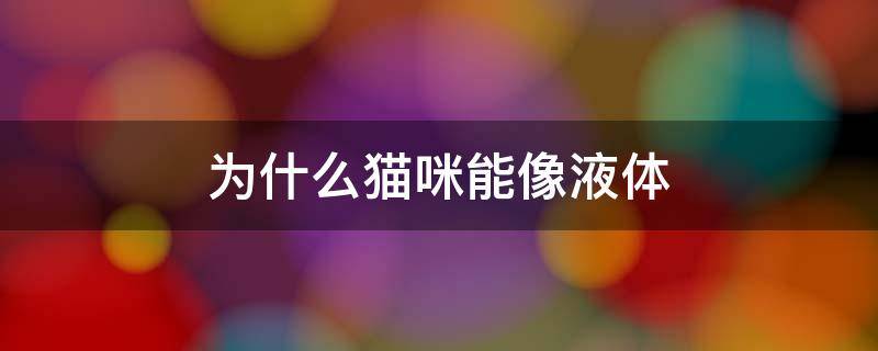 为什么猫咪能像液体 为什么猫咪能像液体一样缩在一个小盒子里